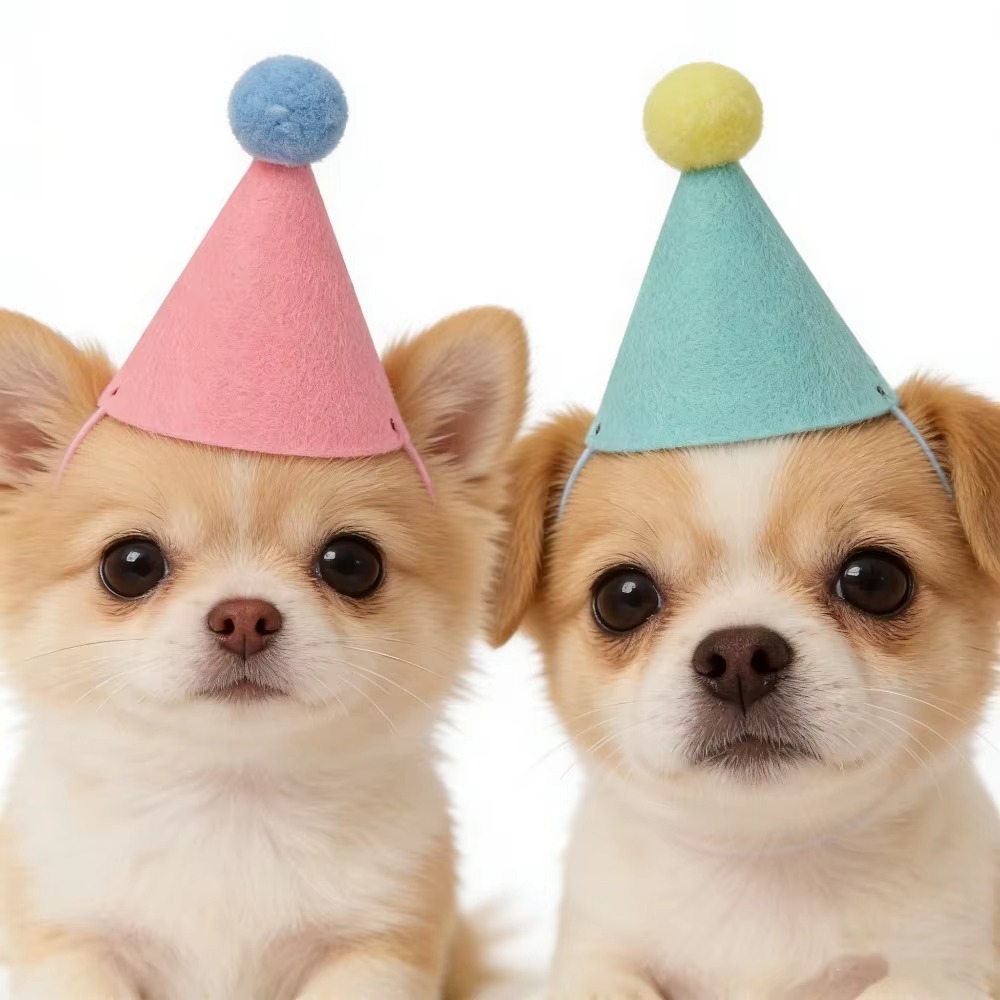 6/12pcs Cute Mini Pet Party Ha - đánh giá và giá Party Hat Cone